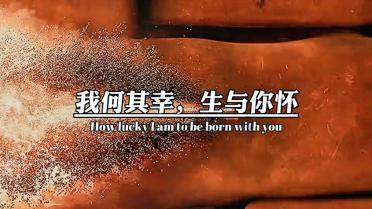 探秘FC-31究竟怎么样?-天气网